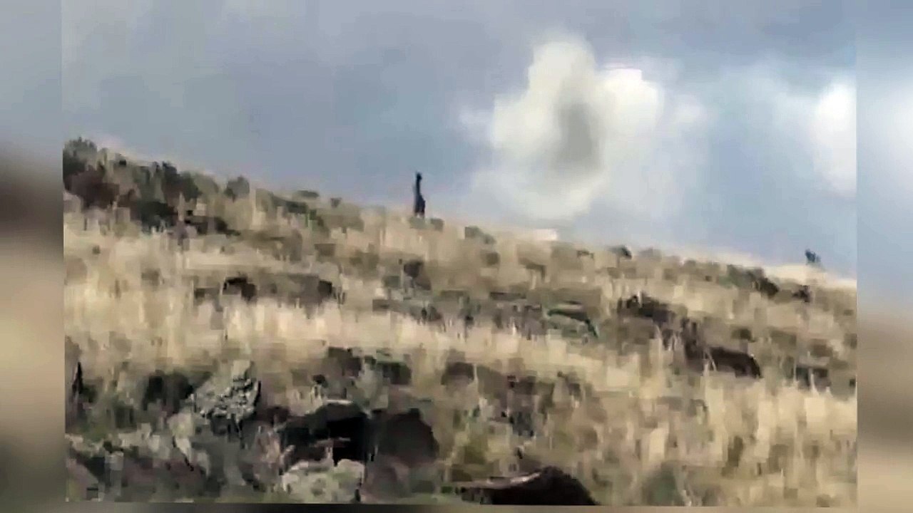 Ataque de Aguila real a un canguro