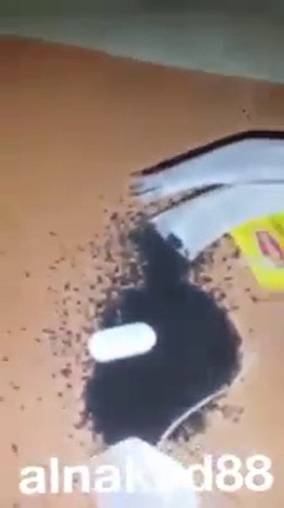 watch this lipton tie