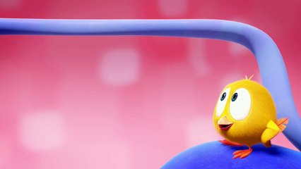 Where is Chicky? Folge 36 39! Lustige Cartoons deutsch Wo ist Küken Chicky?