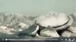 Flying Saucer in ice. Real or Fake ufo, ovni