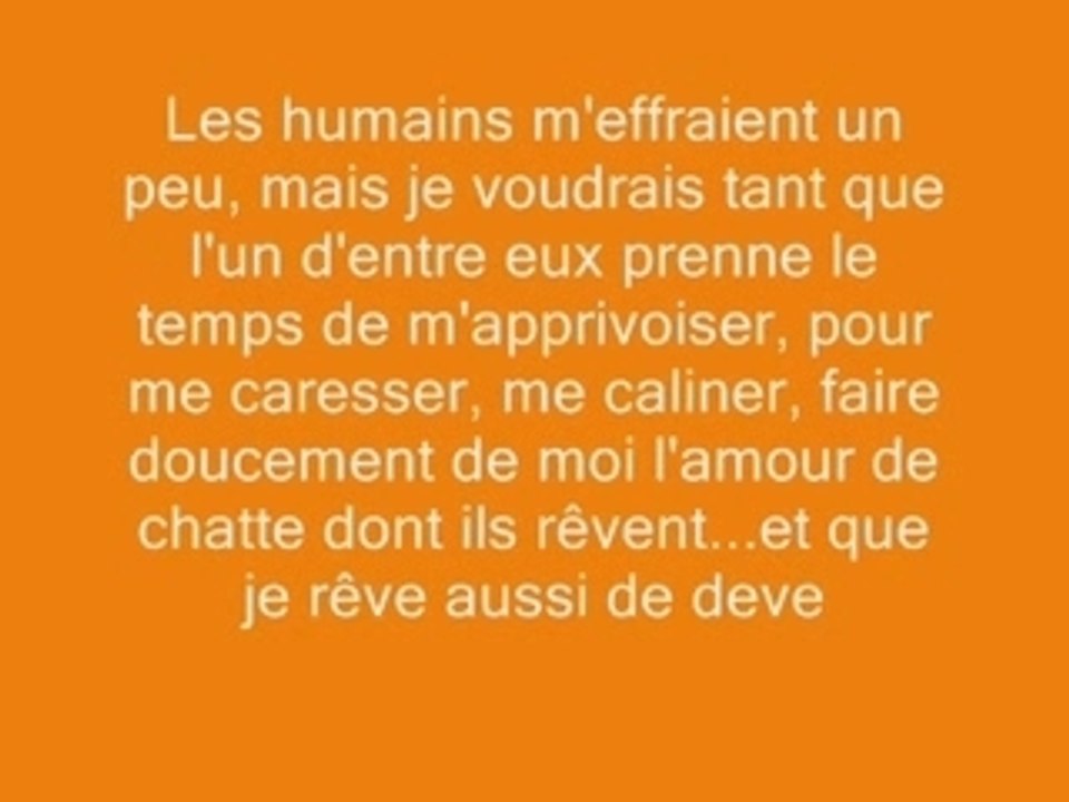 Globule, Mélissandre et Spot du refuge De Beauregard