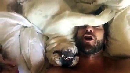 Grumpy dog makes hilarious sounds when woken up