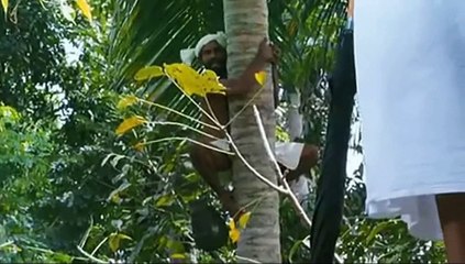 Best Comedy Scene-Amen_Fahadh Faasil-Swathi Reddy