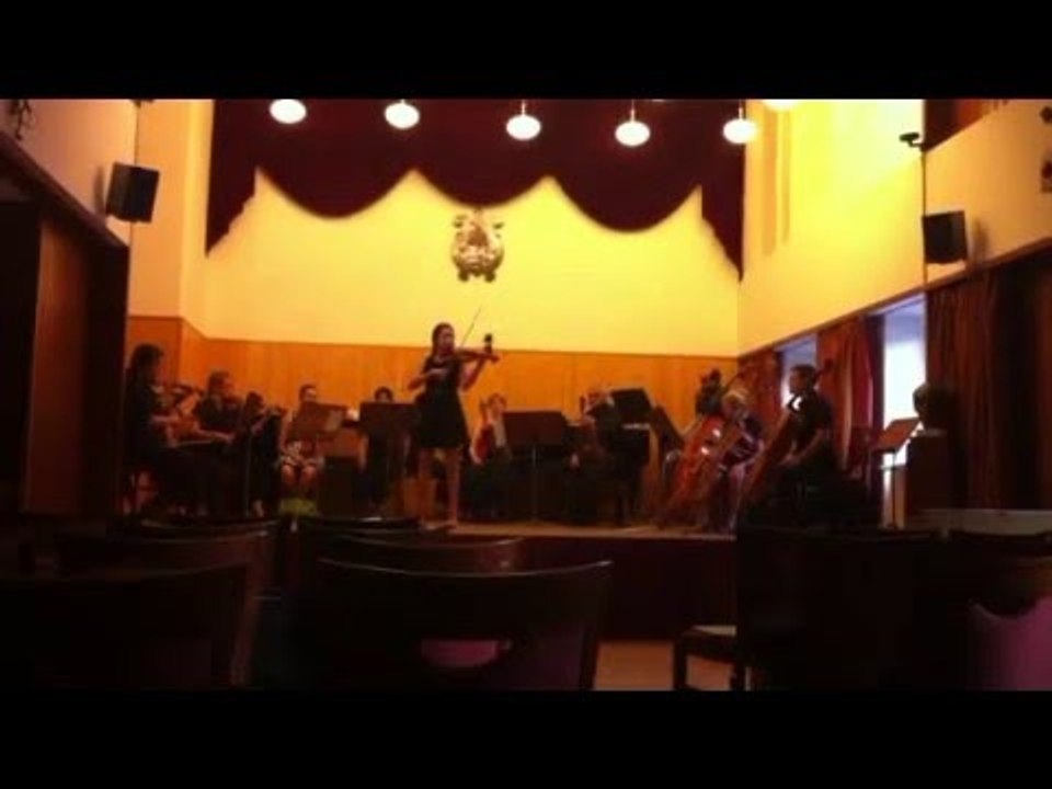 Vivaldi violin concerto four season Spring 1st mov.