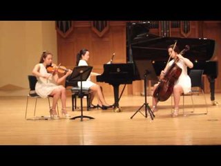 Bramhs Piano Trio No.2 1st 브람스 피아노 트리오 1번 2악장