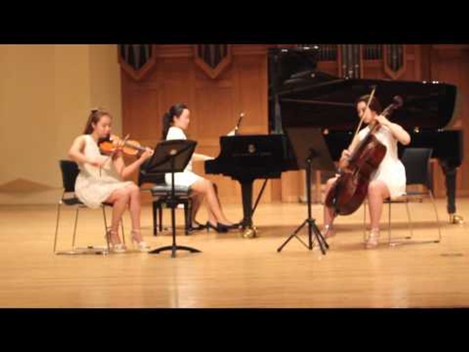 Bramhs Piano Trio No.2 1st 브람스 피아노 트리오 1번 2악장