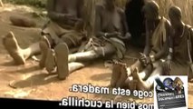 TRIBU AFRICANA /Documental completo en español