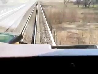 Train vs Vache