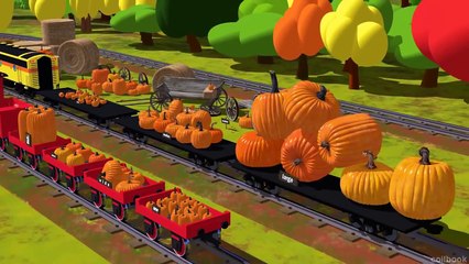 Dessin Anime Train Shawn Francais Apprends les tailles