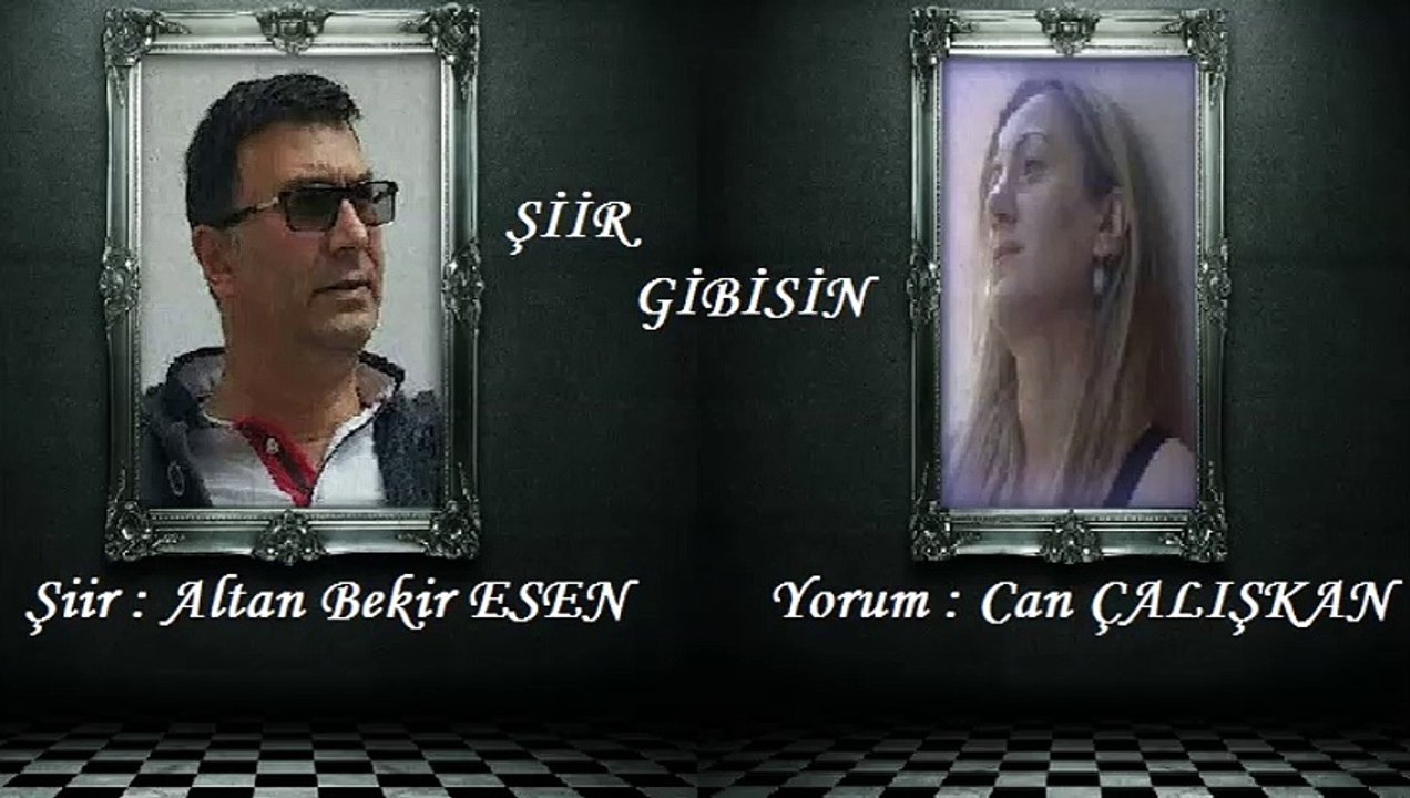 Şiir Gibisin