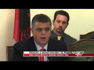 Pasojat e moratoriumit të pyjeve - News, Lajme - Vizion Plus