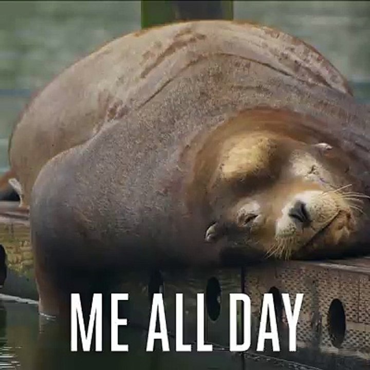 The hangover is real