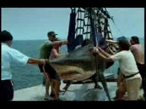 Pub-john-west-requin