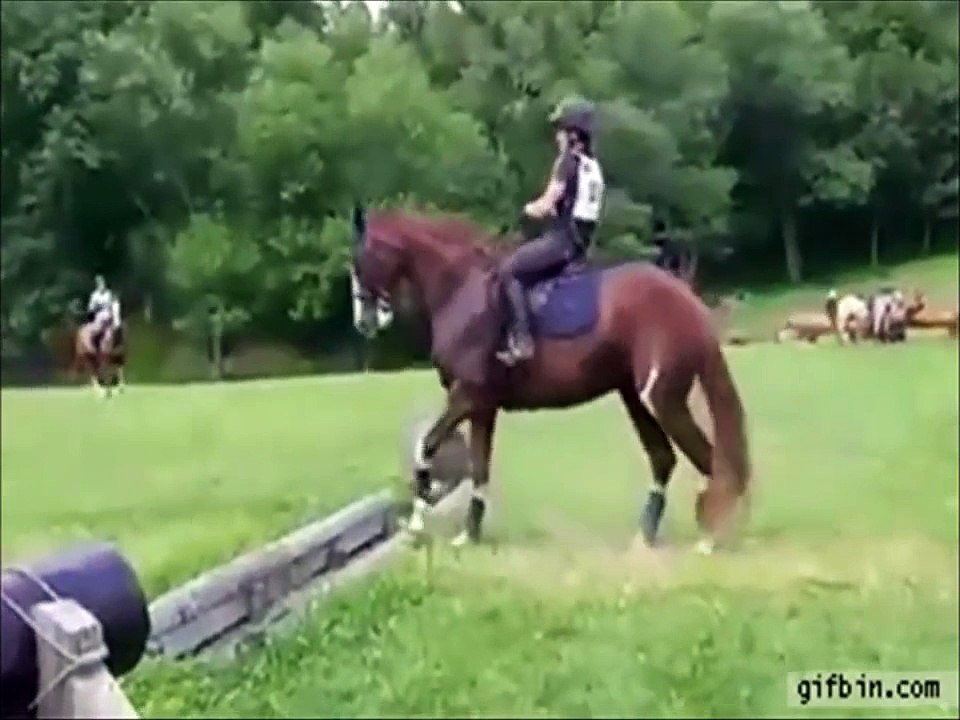 Funny Video Clip Mix Funny Fails Funny Stupid People & Animals by Playandfun