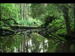 Windows inaczej - odcinek 2.