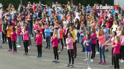 Profs et collégiens de Senlis dans un flashmob géant