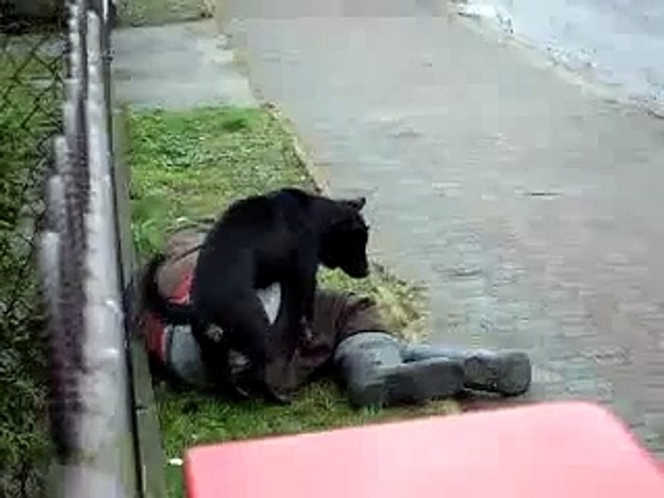 CEL MAI BUN PRIETEN