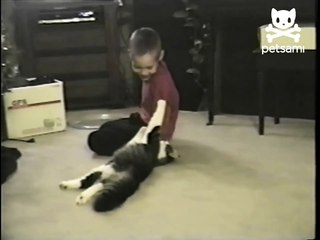 Cat wrestles boy to the ground