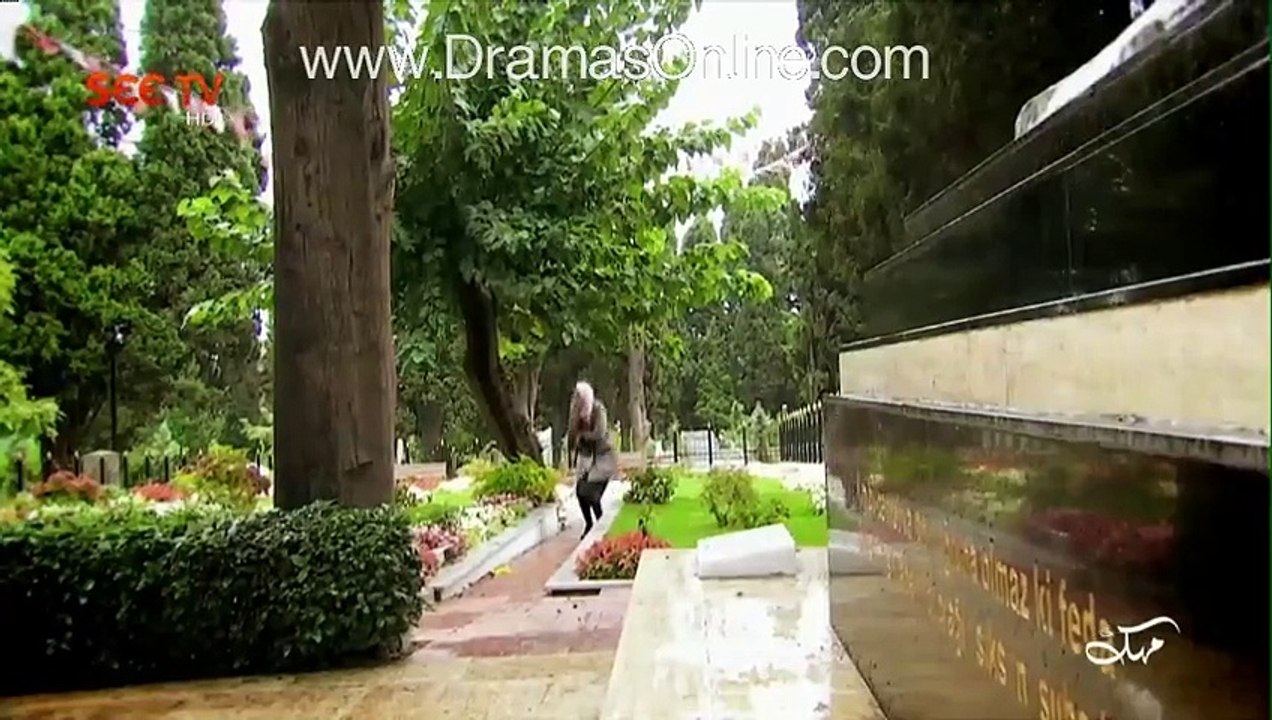 Mehak  » See Tv  » Urdu Drama  » Episode 	3	» 19th January 2016 » Pakistani Drama Serial