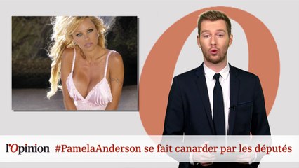 #PamelaAnderson se fait canarder par les députés