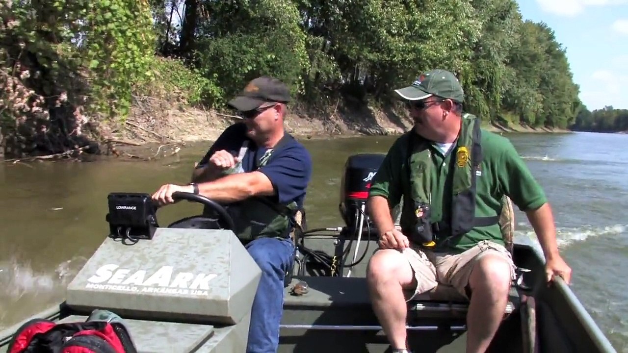 Des pêcheurs se font attaquer par des carpes asiatiques
