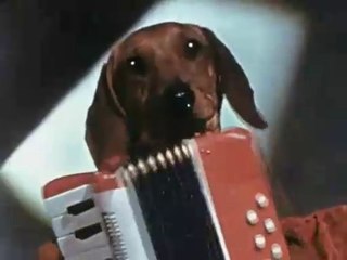 GENERIQUE SATURNIN ORTF RICET BARRIER ANIMAUX CLIP TV FR HQ