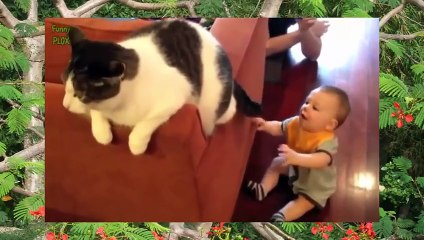 Clip hài hước nhất thế giới cười bể bụng về trẻ em