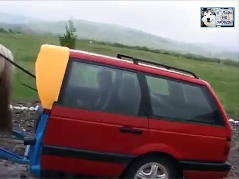 САМЫЙ ЭКОЛОГИЧНЫЙ АВТОМОБИЛЬ