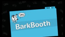 BarkBooth- Dog Mom Will Put Up With Anything For The Love Of Dog - Funny Animals Channel