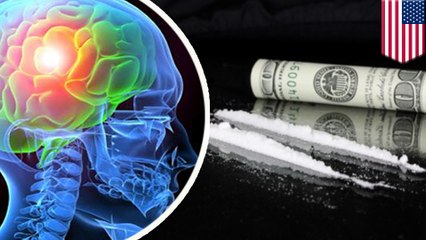 New research shows cocaine causes brain cells to eat themselves