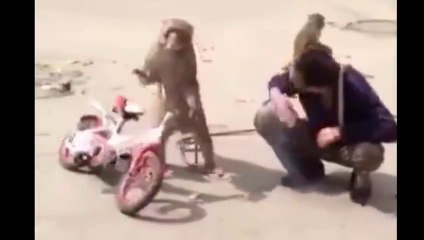 hEY!! DONT HIT ME otherwise i wil. just......big carzy