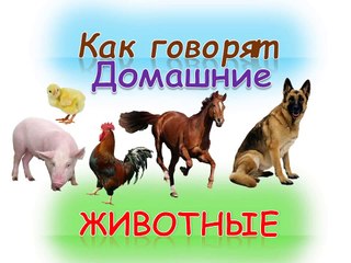 Развивающий мультик для детей Как говорят домашние животные(кто как делает)Как говорят животные