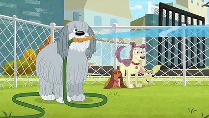 Pound Puppies - Dog Tests