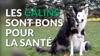 Pourquoi les câlins sont bons pour la santé