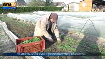 Hiver doux: les producteurs attendaient le froid avec impatience