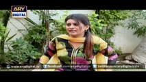 Bulbulay Episode - 230 - 19th January 2016 on ARY Digital