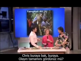 GANO EXCEL VE MEHMET ÖZ