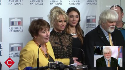 Playmate, activiste, icone... Pamela Anderson - C à vous - 19/01/2016
