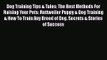 [PDF Download] Dog Training Tips & Tales: The Best Methods For Raising Your Pets: Rottweiler