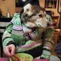 Dog Tries to Eat Cereal with a Spoon