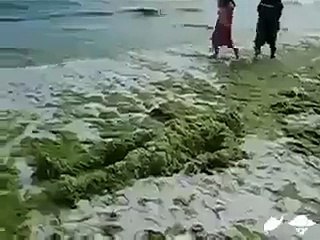 İnsanın Başına Ne Gelirse Meraktan Gelir