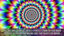 Amazing Mind-Bending Optical Illusions