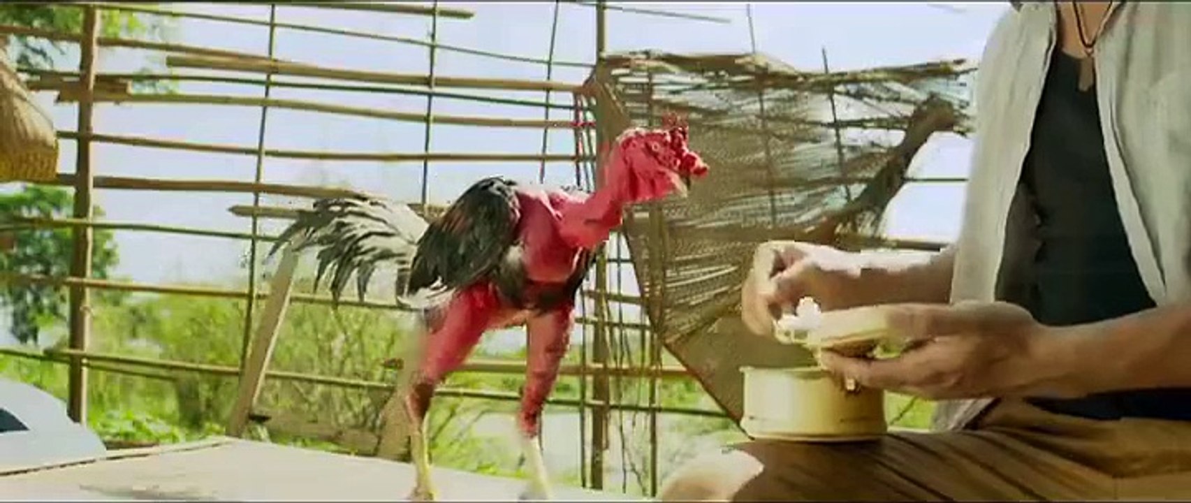 Kung Fu Chiken
