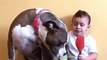 Toddler and pit bull throw peanut butter party