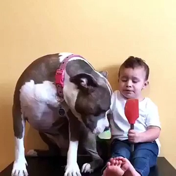 Toddler and pit bull throw peanut butter party