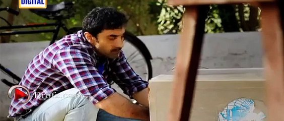 Shehzada Saleem - ARY Digital - Upcoming Drama