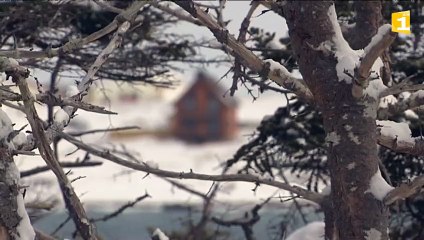 Saint-Pierre et Miquelon a revêtu son manteau de neige