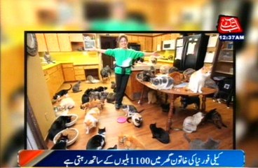 Exceptionally Remarkable Example Of Love By American Lady