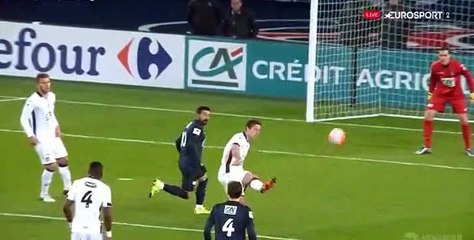 David Luiz Goal - PSG 1 - 1 Toulouse - 19-01-2016