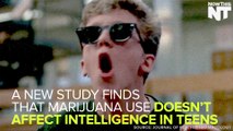 Study: Teenage Marijuana Use Does Not Affect IQ